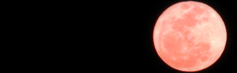 Lublin Piła Gdynia Fotowoltaika Koszalin Katowice Szczecin Tworzenie Stron WWW Warszawa Łódź Gorzów Ogrodzenia Wrocław Poznań Gdańsk Busy Holandia Niemcy Belgia Przewozy Toruń Optyk Bydgoszcz Kraków Strony Internetowe Białystok Opinie Polecam